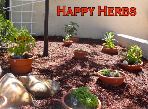 Happy.herbs