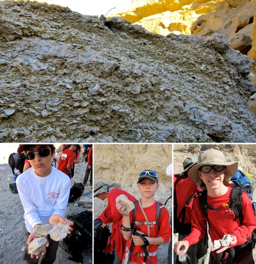 Down in the washes and canyons we began to find our first evidence of fossils.  On the top is a fossilized reef, while boys hold fossil clams and oysters.
