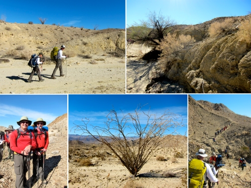 We continue our trek.  Some desert plant life, which survives with almost no rainfall.