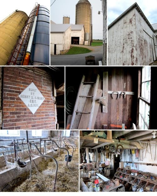 There were many barns and outbuildings on the farm, each with their own personality.