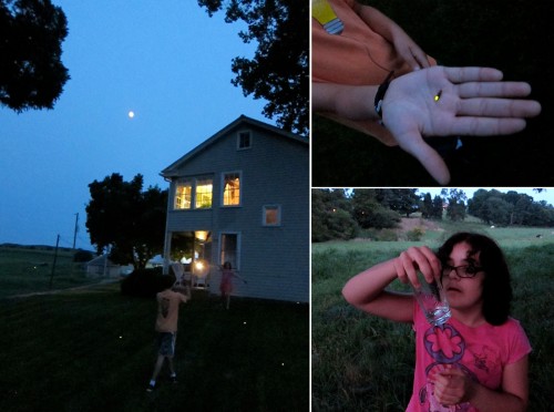 At twilight we went out to hunt fireflies.  We never get to see them in San Diego, so that was a real treat.