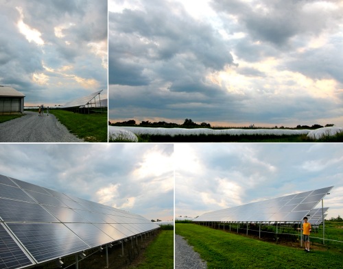 The farm has a large solar array, which reflected the cloudy afternoon sky.  It made for nice photos.