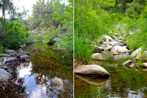 Aqua Caliente Creek